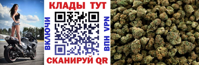 Наркотические вещества Перевоз APVP  Бутират  Кетамин  Гашиш  Конопля  МЕФ  Амфетамин  Cocaine 