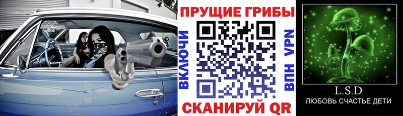 Псилоцибиновые грибы Psilocybe кракен ССЫЛКА Перевоз магазин