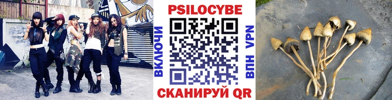 Псилоцибиновые грибы Cubensis Перевоз